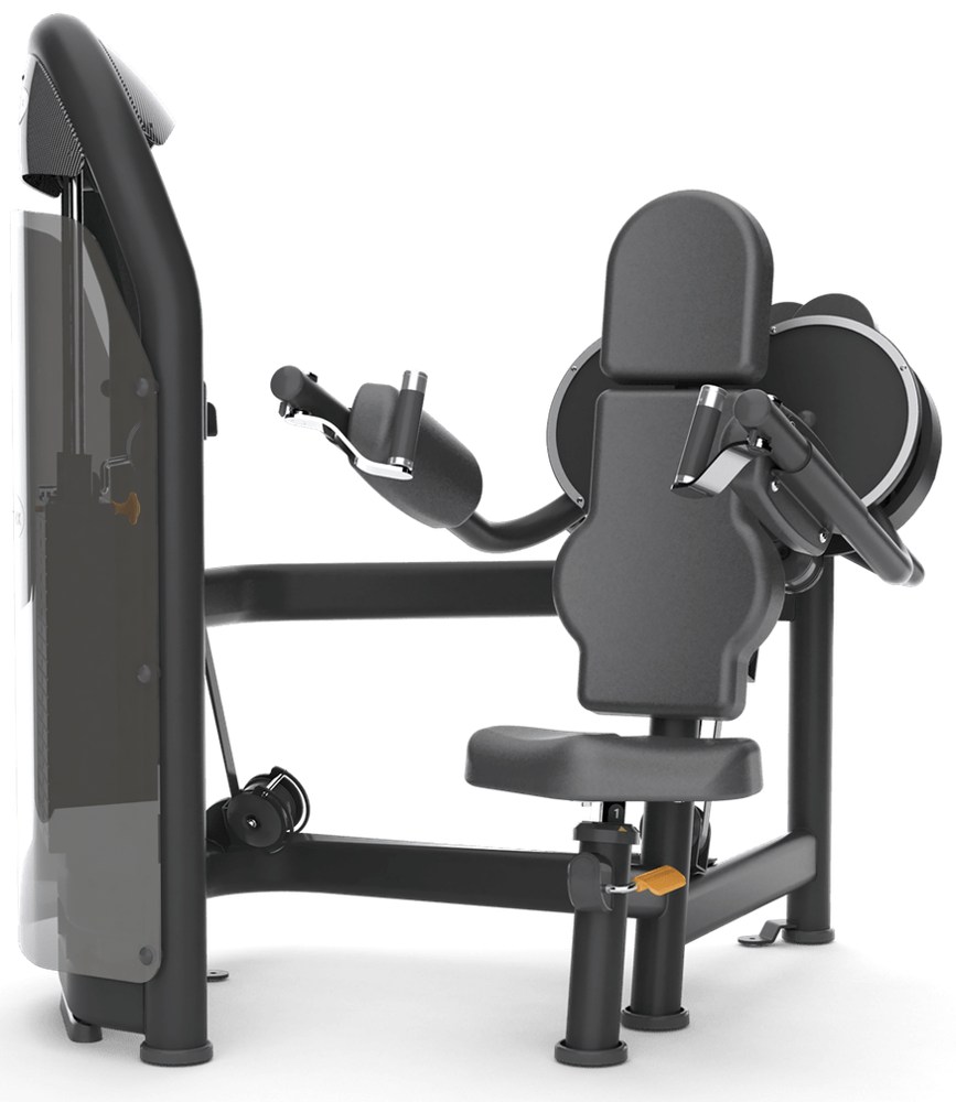 Lateral raise