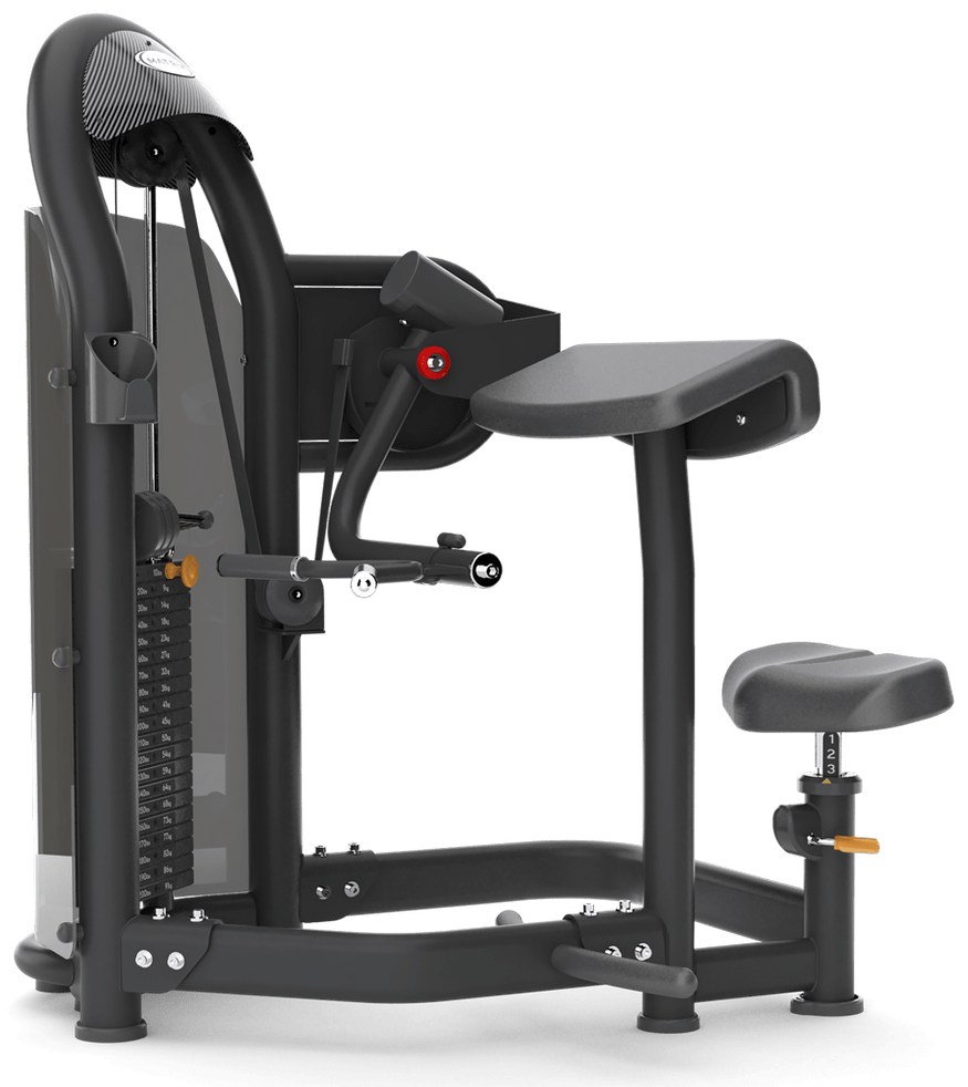 Biceps curl G3-S40