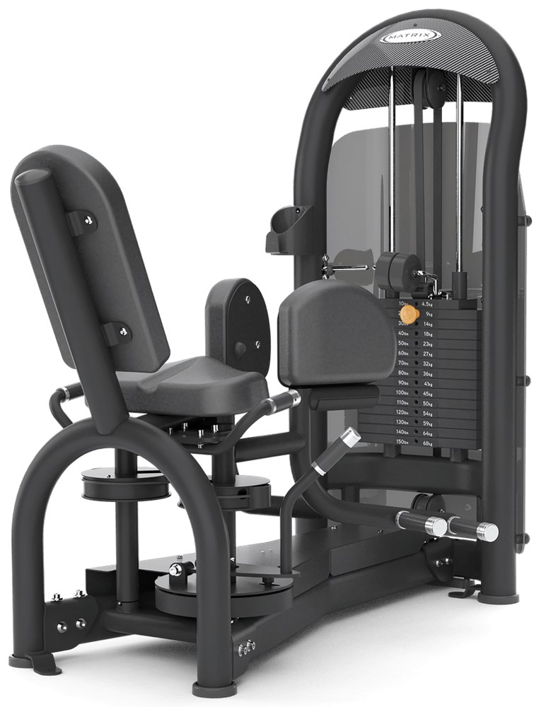 Hip adductor G3-S74
