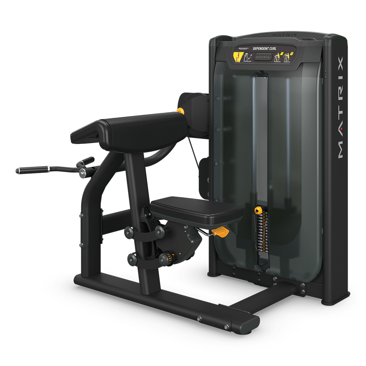 Linked-arm biceps curl Base Heavy